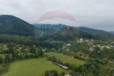 Proiect autorizat (AC) pentru constructia a 2 vile individuale P+M - 6