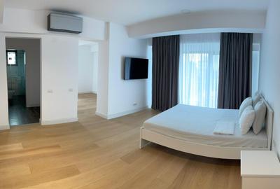 Penthouse 5 camere PIATA VICTORIEI - 4