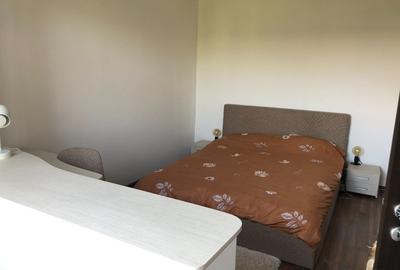 Apartament cu 2 camere semidecomandat, mobilat în Podu Roș