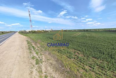 Teren intravilan 11.225 mp | Popești-Leordeni | Sos. de Centura - 1