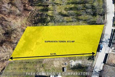 TEREN 872 MP, ZONA LINISTITA, AER CURAT - 3
