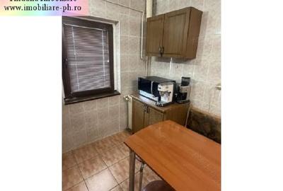 Apartament 3 camere de vanzare : 9 Mai-(Padina) - 6