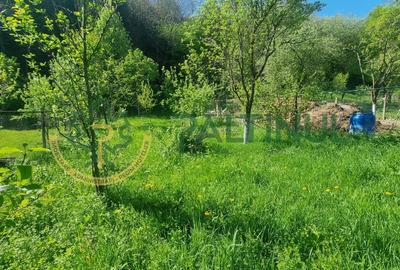 Casă de vânzare în Cisnădioara, curte mare și vedere spre munte - 4