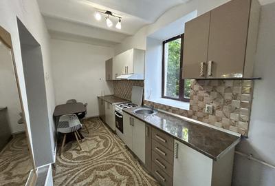 Apartament 1 camera Boul Rosu de inchiriat - 1