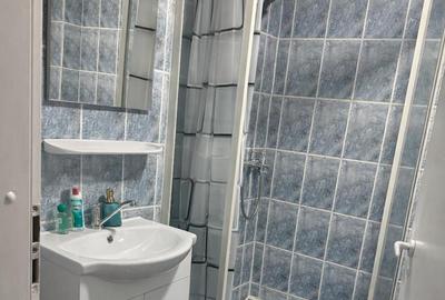 Apartament la mansarda in Terezian - 3