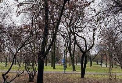 Parcul Circului - Lacul Tei - 15 min Metrou Stefan cel Mare - 16