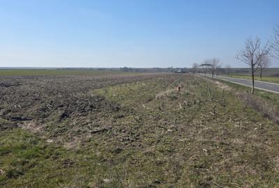 Teren intravilan, 5000 mp, deschidere 409 ml, utilitati, zona Nord - 1