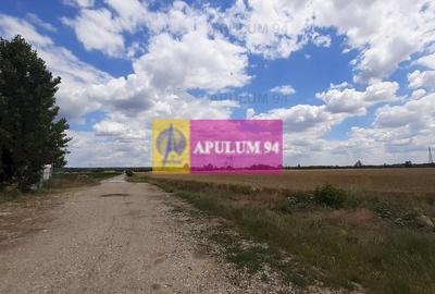 Teren 715mp în Snagov lângă Equestria - 22