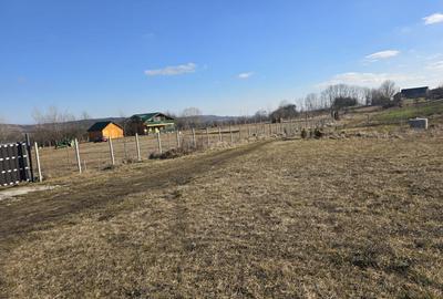 Teren de 10.100 mp, zona de case, in Valea Chintaului - 2