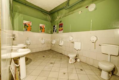 Spatiu Comercial de vanzare LIPSCANI, 209mp - 23