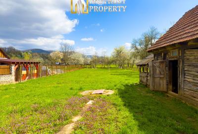 Colț de natură: casă + teren mare în Săvârșin - 7