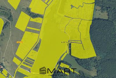 Teren extravilan 3200mp lac Sacel - 6