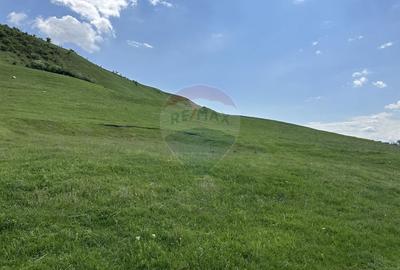 Teren Construcții intravilan de 1000 mp, în Gârcina