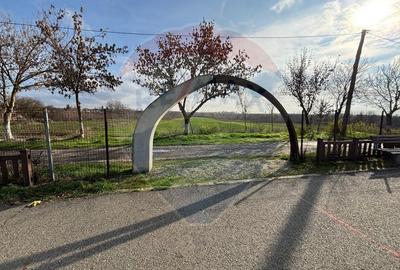 Teren 7.094 mp Buftea lângă parc – POT 30%, CUT 1, ideal dezvoltare - 3