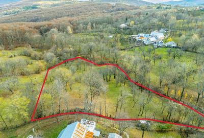 Teren intravilan 4384 mp – Comuna Talea,  județul Prahova - 2