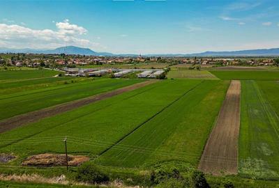 Teren extravilan de 5000 mp, în Bod