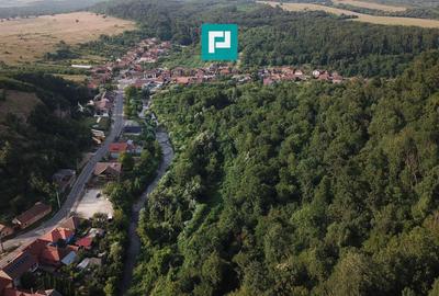 Teren Intravilan, în orașul Sebiș, Arad - 29