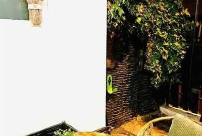 VILA/Casă ULTRACENTRAL IASI - 1500 EURO - 7