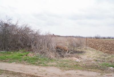 Teren intravilan de 982mp, comuna Adunatii Copaceni - 4