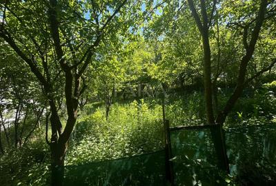 Teren Intravilan, Manastur - 1