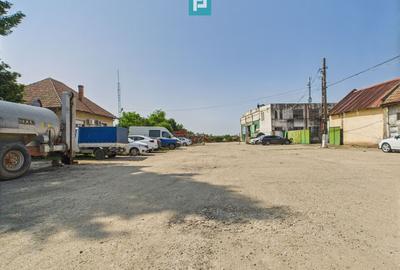Complex industrial cu hale și teren  în Orțișoara - 7