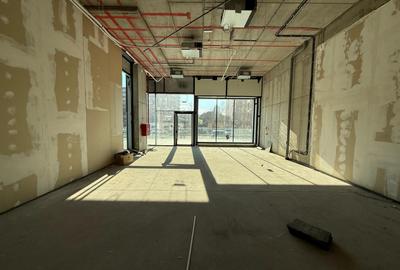 Spatiu comercial 110 MP plus TERASA 48 MP - 1