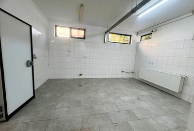 Spatiu cu alta destinatie Lipovei !!! - 6
