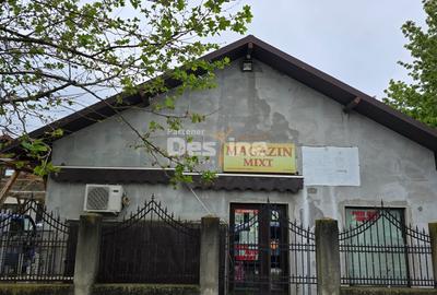 CASA / VILA DE VANZARE - 15
