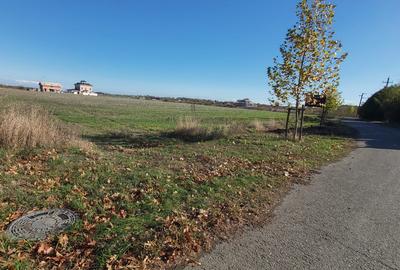Vanzare 2000 mp, sau 3000 mp sau 5000 mp teren in Gradistea cu acces dinspre A3 - 7