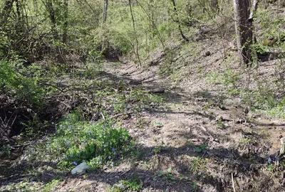 TEREN INTRAVILAN PRAHOVA| PROVITA DE SUS| BREAZA - 2