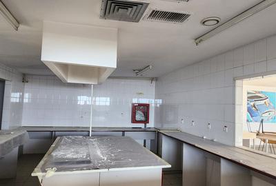 Showroom auto suprafata 6500 mp, teren 1500 mp, deschidere 90 ml la DN 1. - 26