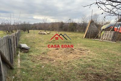 Teren intravilan in Brebu--2080mp--22e - 5