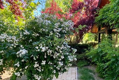 Direct de la proprietar vilă  individuala cu gradina in zona linistita - 9