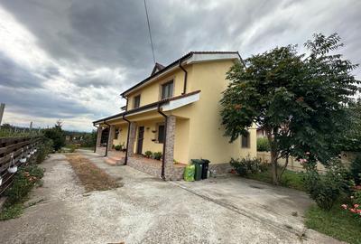 Casă spațioasă în Vânători, 5 camere, teren 1070 mp, livadă - 8