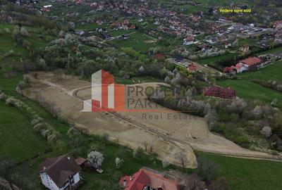 Parcele 1000 mp Sohodol - 4