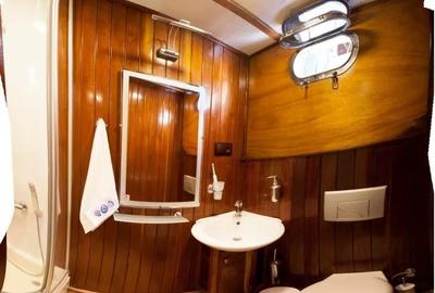 Business pe apa | MS LUXURY CRUISE YACHT - 4