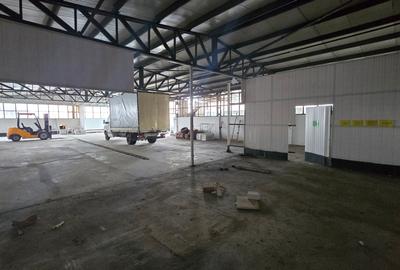 Vânzare Hala Industrială – 1000 mp cu Birouri – Parcul Industrial Măgurele - 12
