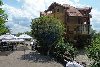 DE VANZARE Pensiune cu piscina, pastravarie, zona spa locatie de vis - 8