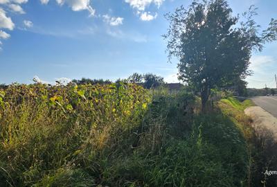 Teren Construcții intravilan de 3200 mp, în Central