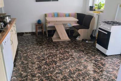 Casă individuală cu 4 camere în Lunca Asău