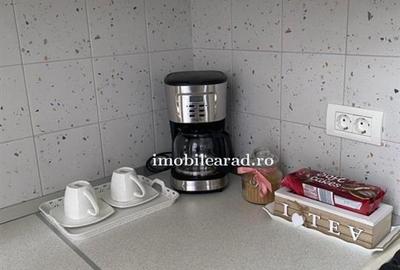 Apartament 60 Euro pe zi, amenajat in stil unic langa Primaria Arad - 12