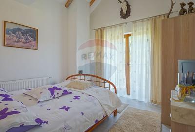 Vilă în zona Glăjărie, 10 camere, Sp + E + M, teren 2789 mp - 19