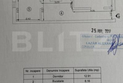 Apartament 2 camere decomandat Valea Lupului - 8