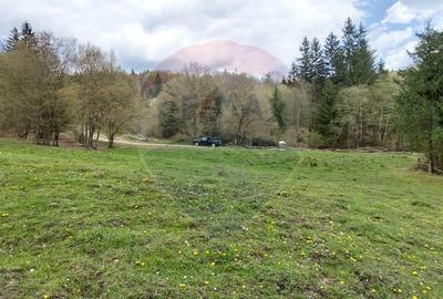 Poienita 2800mp, Covasna, zona hotel Clermont, inconjurat de padure - 11