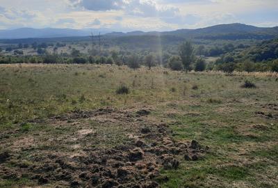 FARA COMISIOANE TEREN parcelabil 10756mp linga padure Comuna Dumbravita Brasov - 8