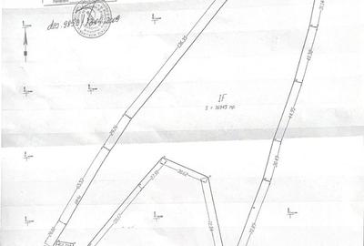 Vanzare teren Colibita - Bistrita-Nasaud - 16950mp - 1