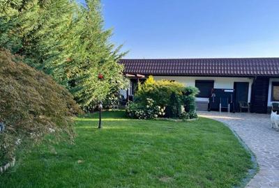 Casa de vanzare 7 camere zona Silistea Snagovului, judetul Ilfov - 5