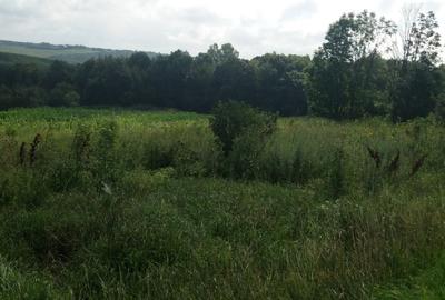 Teren in zona padurii la Rediu - 1