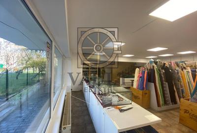 SPATIU STRADAL 567 MP - VAD COMERCIAL - PACHE PROTOPOPESCU - 14