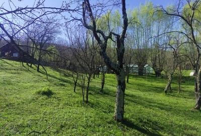Teren intravilan com.Drajna, sat Cătunu, 12 km de Vălenii de Munte, jud. Prahova - 6